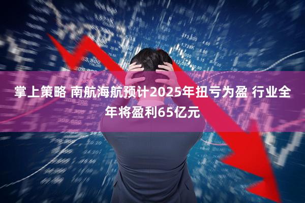 掌上策略 南航海航预计2025年扭亏为盈 行业全年将盈利65亿元