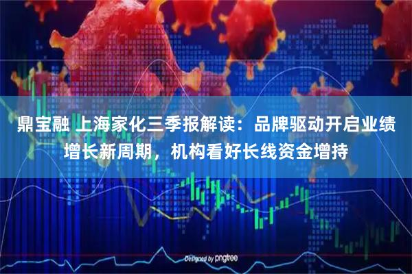 鼎宝融 上海家化三季报解读：品牌驱动开启业绩增长新周期，机构看好长线资金增持
