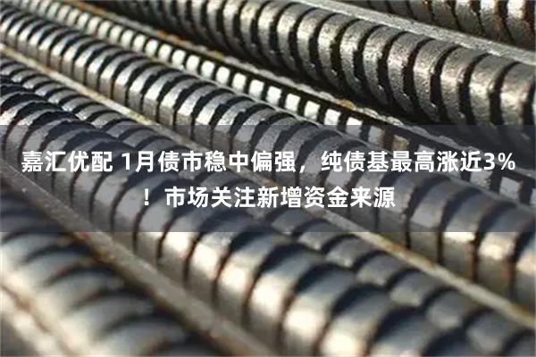 嘉汇优配 1月债市稳中偏强，纯债基最高涨近3%！市场关注新增资金来源